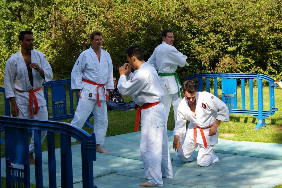 Judo: Judo 005